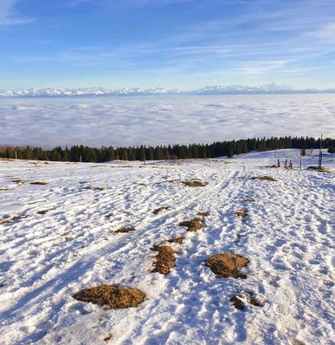 Nieve, mindfulness