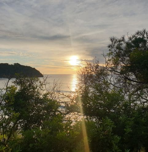 Mindfulness horizonte